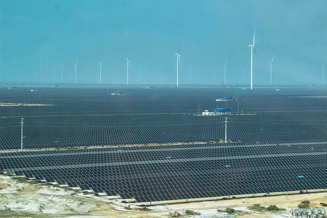 <p>A view of solar panels and wind turbines from a tower at Khavda renewable energy park</p>
