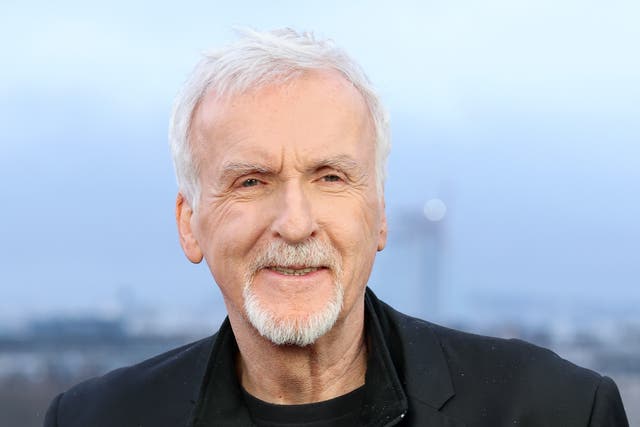 <p>James Cameron at the Avatar: Fire And Ash photocall in Paris</p>